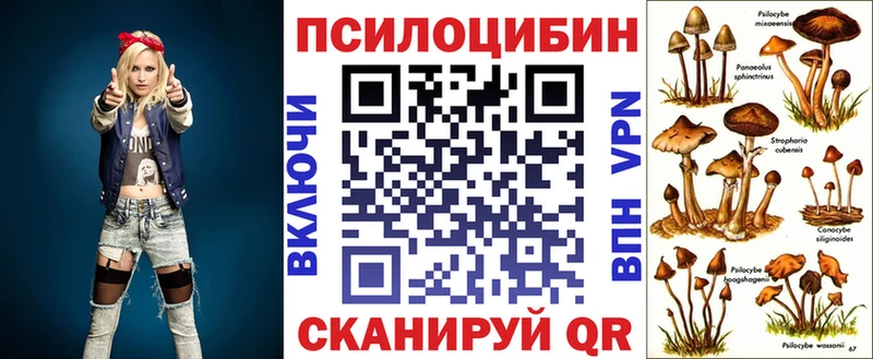 Галлюциногенные грибы прущие грибы купить наркотик Жердевка