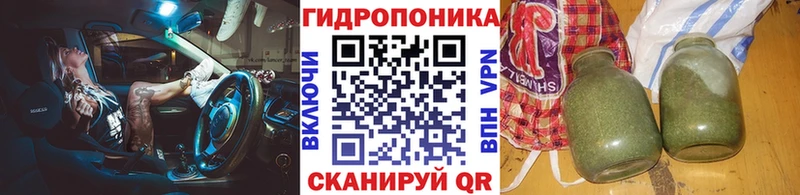 Канабис сатива  где можно купить   Жердевка 